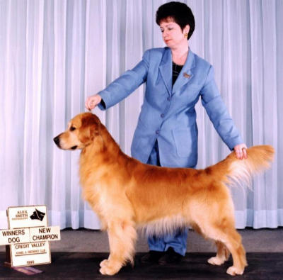 Amberview Stormn The Heartlnd