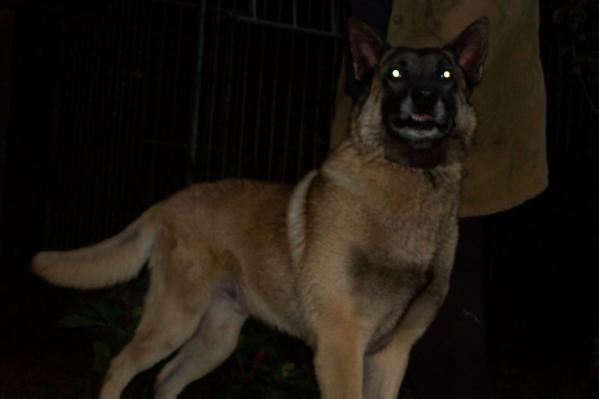 G'Micky (Fokke Copmans) 'Den Ouwe'