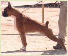 CH Enrique de Verdemar