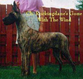 CH Rockingdanes Gone W The Wind