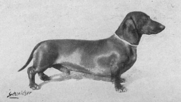 Lutz Assmannsheim