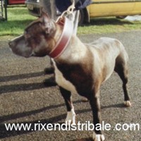 MOON light de l'orée d'alience