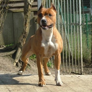 Zoe Of Nice Pharamund'S