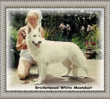Bricketwood White Moondust