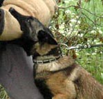 Dolcevita du Clos d'Alsan