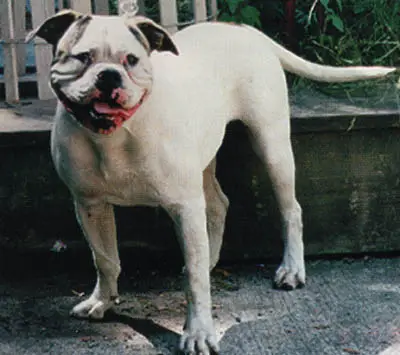 Grimm's Machine Minnie