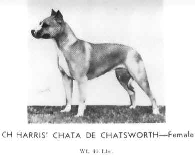 CH Harris Chata De Chatsworth