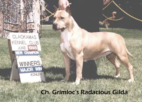 AM CH. Grimloc's Radacious Gilda