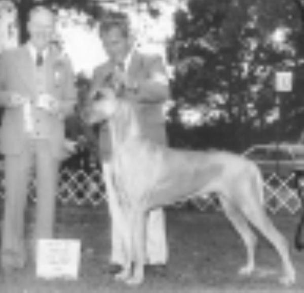 CH Regene Brigadoon of Jonathie