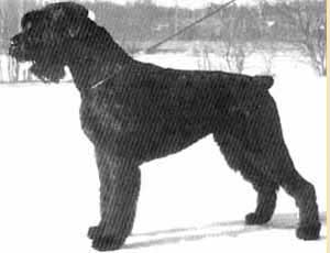 Famulus Abrakadabra