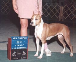 Orban's Lady Katrina of Yukon