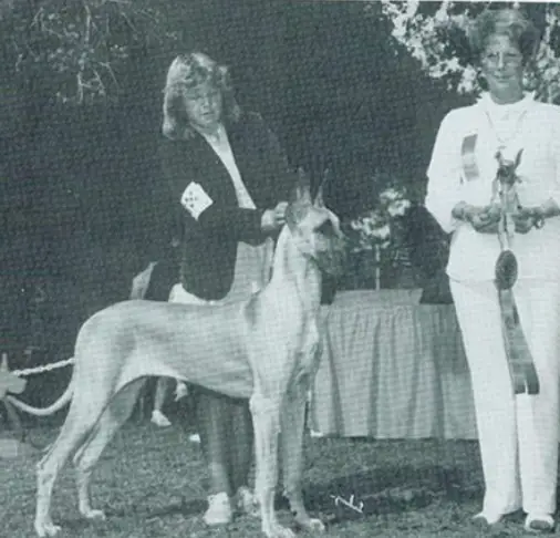 CH Rika's Plain Jane V Hauer