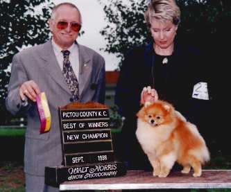 CAN CH Chriscendo Candy Man