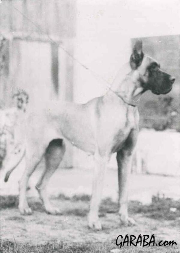 Barbara melanie De garaba