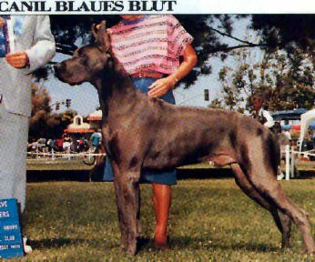 CHGRCH Sirblu Colerdge Bogart Again