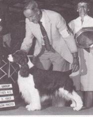 AM/CAN CH Canamer Prime Time