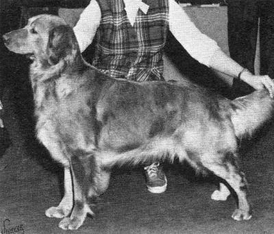 CH Can Brynmar's Millicent