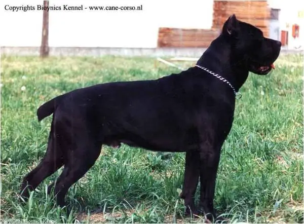 Claus (1990)(AG94L2890)