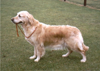 Eng CH Okus Jallina of Kerrien