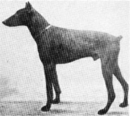 Prinz Leuthold von Hornegg