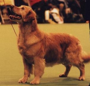 Stanroph Shere Fantasy