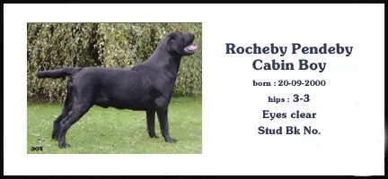 Rocheby Pendeby Cabin Boy