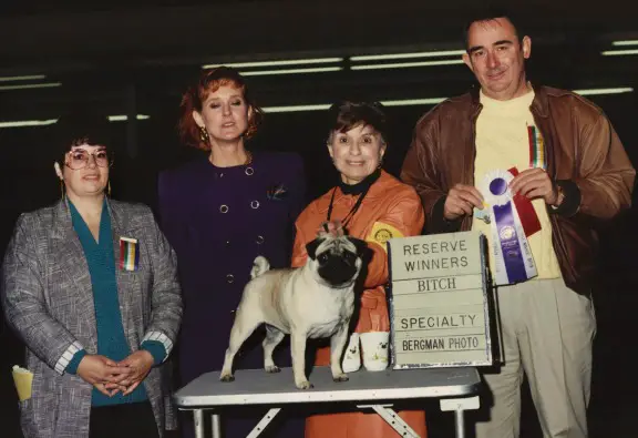 CH. Sheffield's Bit Of The Bubbly