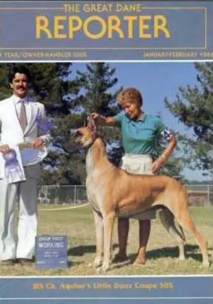 CH Aquino's Little Dooz Coupe Sds