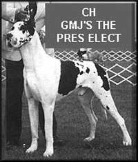 CH Gmj's The Pres Elect