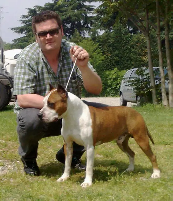 De Paco XZ Viva Las Vegas