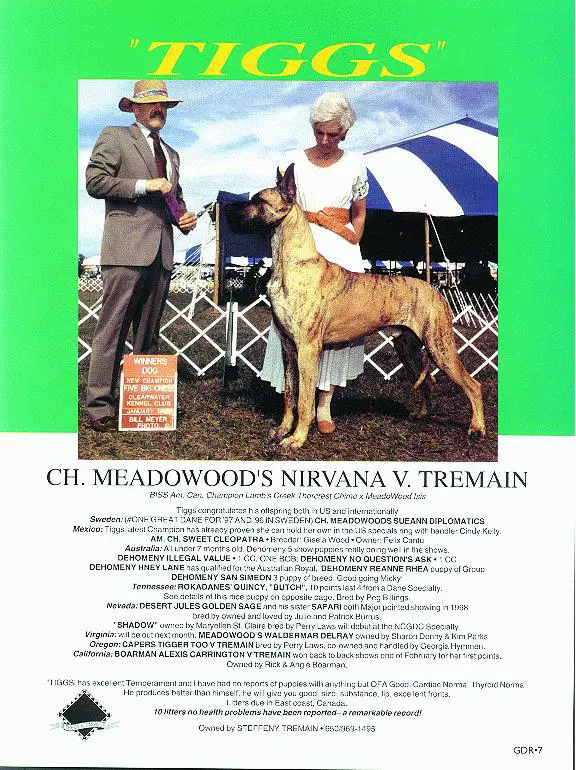 CH Meadowood Nirvana V Tremain