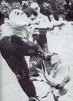 Vicco du Calvaire aux Acacias