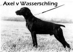Axel v Wasserschling