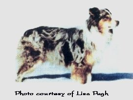 Temujin Ready Or Not