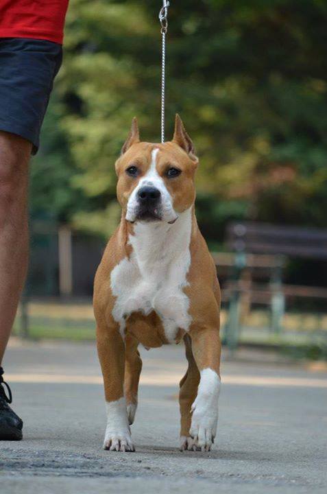 City Girl  Warrior Of Duty