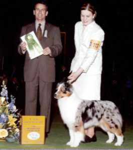 HOF AKC/ASCA CH Meadowlawns Standing Ovation