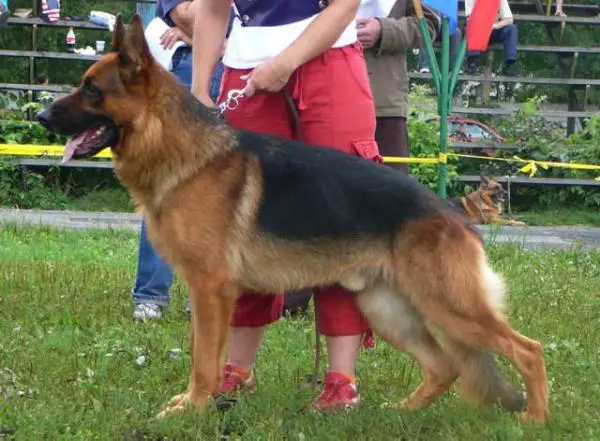 V(RU) Femili May Gajtano