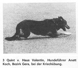 V Quint vom Haus Valentin