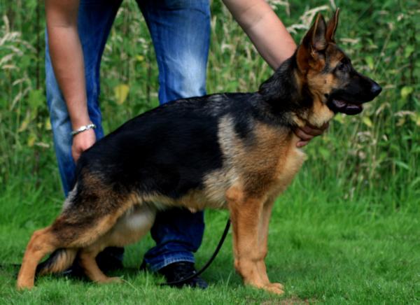 Chicka von der Barenschlucht