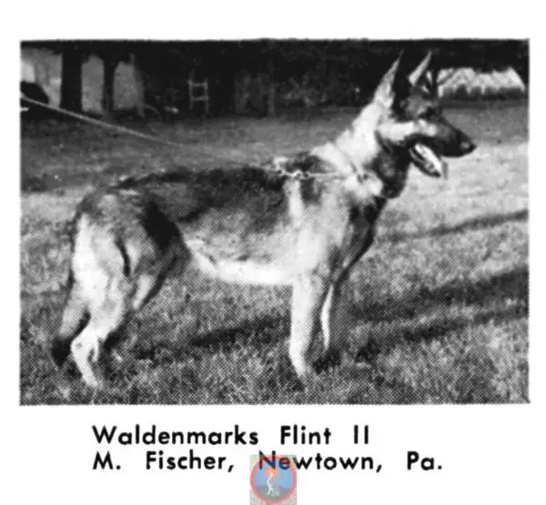 Waldenmark's Flint II