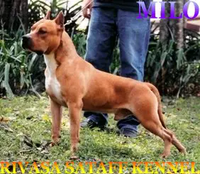 Milagros Palafox/Perdue