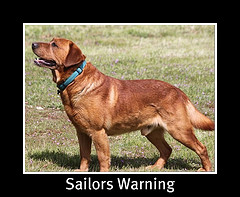 Windancing's Sailor's Warning