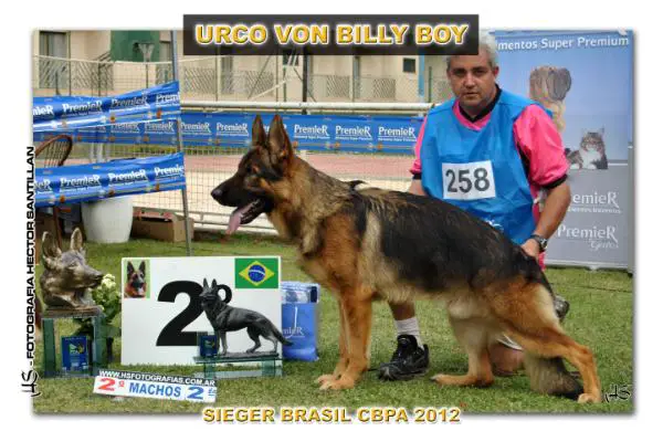 SG2 (BRA) 2012 Urko Von Billy Boy