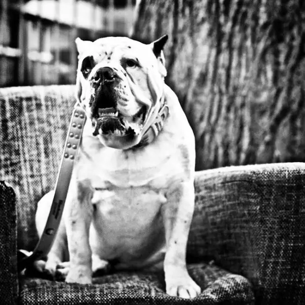 Big Time's Wreckingball