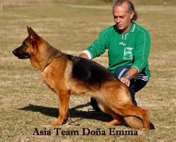 Asia Team De Doña Emma
