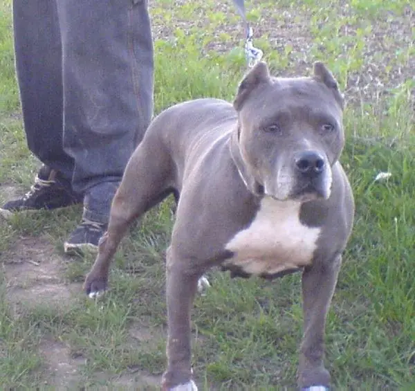 Udara Nickita (sans affixe)