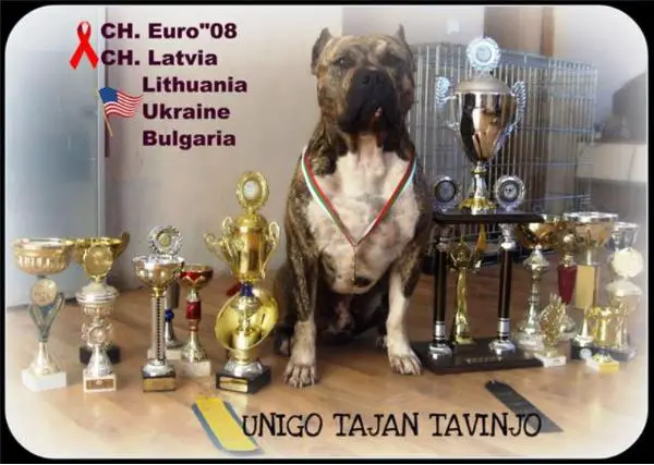 CH LV, LT, UKR, BGR Unigo Tajan Tavinjo