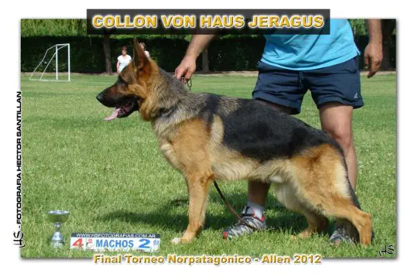 Collon Von Haus Jeragus