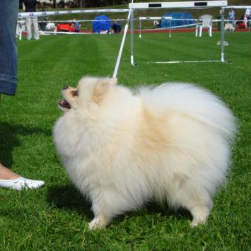 INT CH, EUR W'06 Almi Urnis Vermont