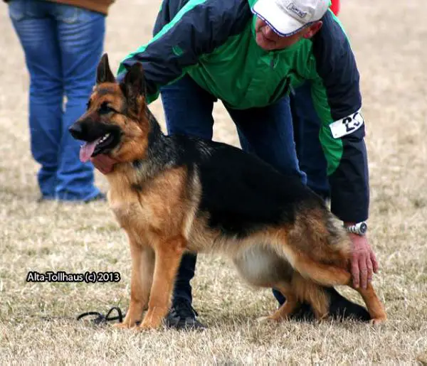 SG1 Alta-Tollhaus Ava